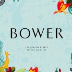 _THUMB_Bower_800x520